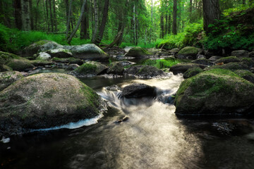 Obraz premium Forest river creek water flow. Beautiful landscape