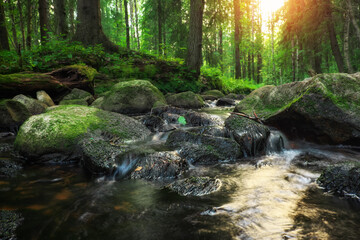 Forest river creek water flow. Beautiful landscape