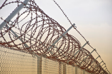 barbed wire fence closeup