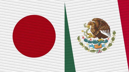 Mexico and Japan Two Half Flags Together Fabric Texture Illustration