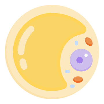 adipocyte flat icon