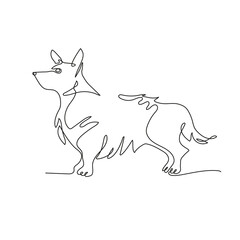 Welsh corgi pembroke. The dog is drawn in one line. Minimalistic graphics.