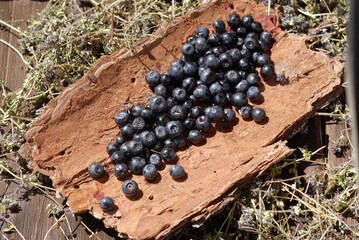 Wild blueberries on a natural plate made of tree bark in forest. Natural organic food picked up in northern forests.