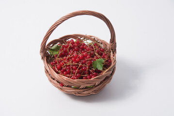 Fototapeta na wymiar Wicker basket with red currants isolated on white background. Healthy nourishment. Harvesting. Studio shot.