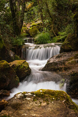 Beautiful water stream in Gresso river Portugal. Long exposure smooth effect. Scenic landscape with beautiful mountain creek with green water among lush foliage in forest. 