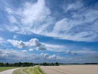Fototapeten A milled field in Flevoland from which the new potatoes will be harvested later © Holland-PhotostockNL