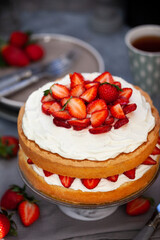 Victoria`s sponge cake, delicious homemade vanilla cake decorated with whipped cream and fresh strawberries