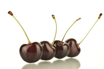Four ripe dark red cherries, close-up, isolated on white.