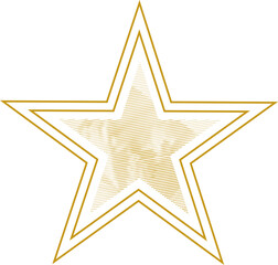 Gold star. Line vector shape. Striped star vector illustration.