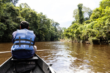 Taman negara river cruise along Tembeling river with lush rainforest foliage at Taman Negara National Park, Pahang