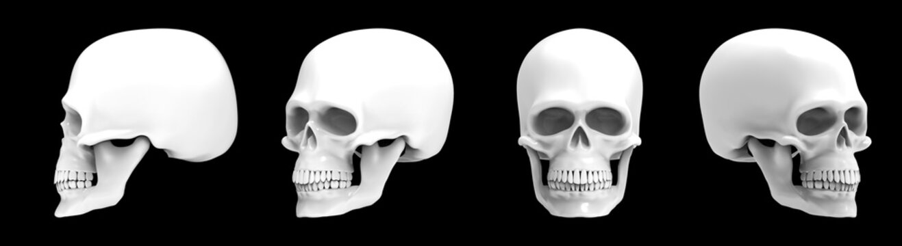 Set of images of white skulls on black background. 3d rendering skulls