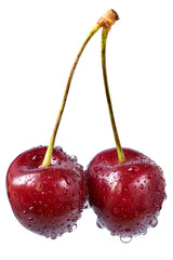 Bunch sweet cherry close up isolated