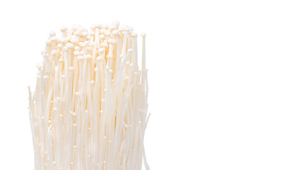 White needle mushroom on white background.