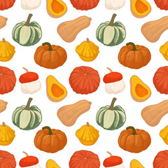 seamless pattern with Different autumn pumpkins. Vintage drawing of fresh ripe vegetables. Fall harvest. Hand-drawn vector illustration