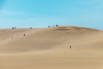 Fototapeta na wymiar Beautiful landscape Tottori Sand Dunes (Tottori Sakyu), located near the city of Tottori in Tottori Prefecture, in sunny day with blue sky. They form the large dune system over 2.4 km in Sanin, Japan