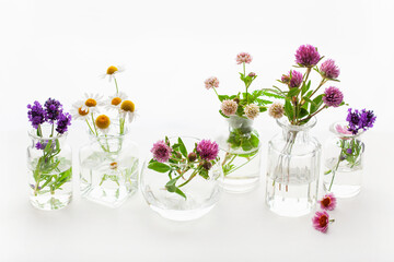 summer wild medical flowers and herbs in glass jars. alternative medicine