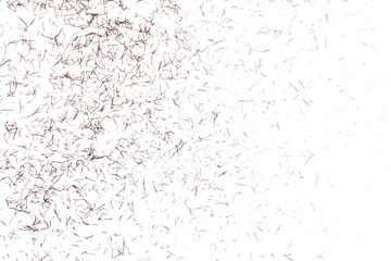 Tiny facial hair after shaving, isolated on white