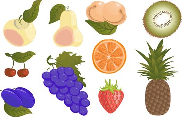 Set of colorful cartoon fruit icons: apple, pear, strawberry, orange, peach, plum, banana, pineapple, grapes, cherry, kiwi. Vector illustration, isolated on white.