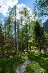 Fototapeta na wymiar The mountains, Pastures and woods of the val di mello during spring, near the town of San martino, Lombardy, Italy - May 2021.