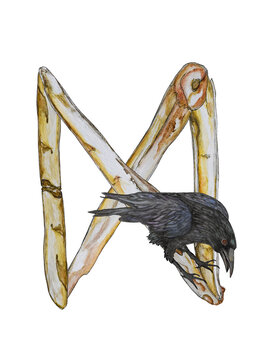 Illustration with rune Dagaz and raven.