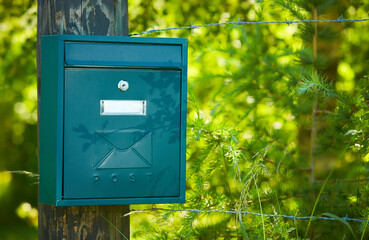Blue, green mailbox surrounded by nature and green plants