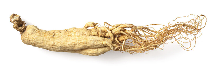 Dried ginseng isolated on white background, top view