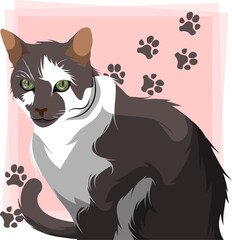 A cat with brown and white fur on a pink background with cat paw print on it.