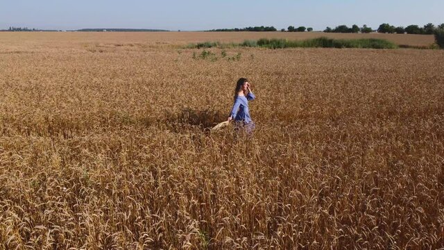 Drone fly around romantic girl with straw wide brim hat, wearing blue vintage dress, walking in wheat field, summer agriculture rural concept