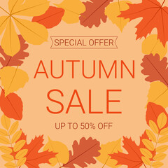 Autumn sale banner with leaves. Fall background. Best for shopping sale, promo poster or web banner. 
