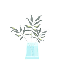 Vector leaves of plant in a glass vase isolated on a white background.