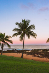 Hawaii Sunrise with palm trees, the perfect paradise