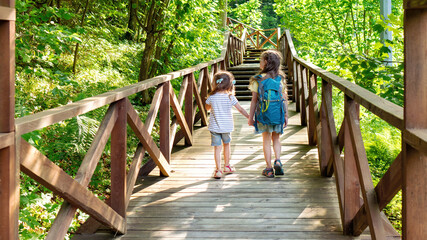 Children with backpacks walk along the hiking trail in the reserve. Wooden flooring for an eco-trail in a mountain forest. Family tourism concept. Holidays with children in the summer.