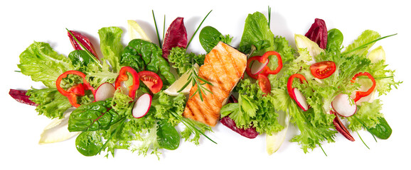 Grilled Salmon Fillet with fresh Salad - Lettuce Panorama isolated on white Background Panorama
