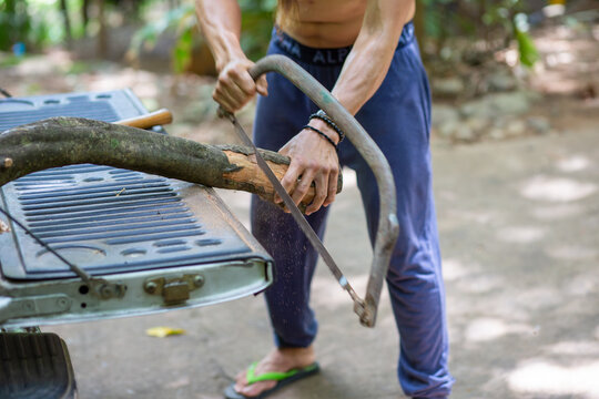 selective focus large branches Men are using Bow Saw to cut wood to make firewood to collect for winter use