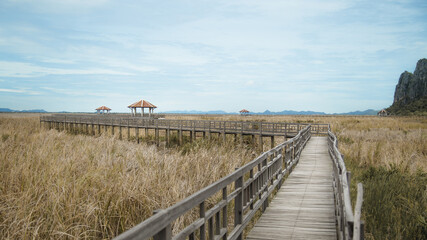 Fototapeta premium wooden bridge in the field