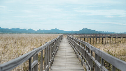 Obraz premium wooden path