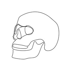 Human skull one line art. Continuous line drawing of human, internal, organ, head, bones, death.