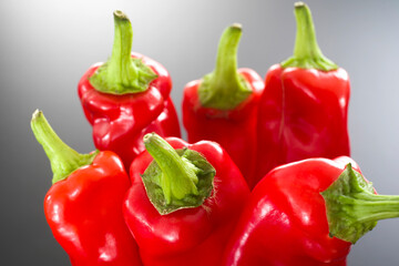 赤万願寺とうがらし
