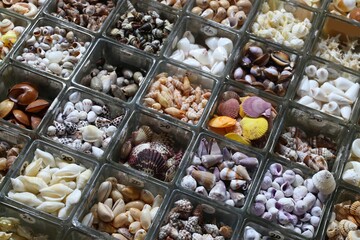 Sea shell souvenir shop in Taiwan