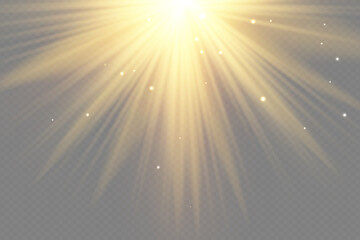 Shining golden stars isolated on black background. Effects, glare, lines, glitter, explosion, golden light. Vector illustration