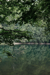 green mountain lake with forest natural background