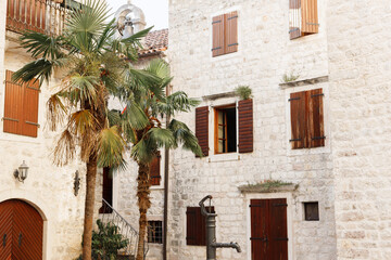 exotic palm trees against the background of ancient buildings in the old town.