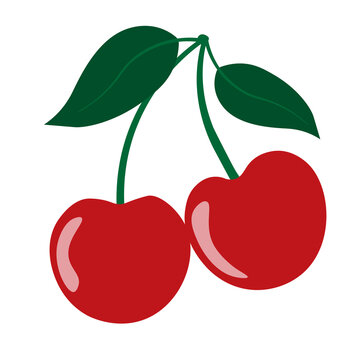 red fresh cherries isolated on white background, vector illustration