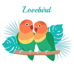 Obraz premium Lovebird parrot Vector illustration. Cartoon bird with tropical leaves isolated on white background.