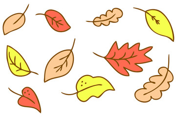 Hand drawn vector collection of autumn falling leaves. Doodle style illustration for decor and design.
