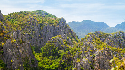 green moss on the rocks