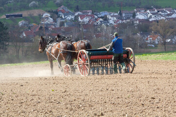 Obraz premium Pferde bei Arbeiten in der Landwirtschaft