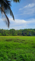 Green Fields Against A Blue Sky
