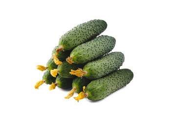 Ten green cucumbers with dried yellow flowers are stacked in an even stack in the shape of a pyramid and are isolated on a clean white background with a slight soft shadow.