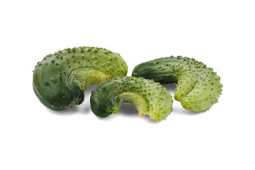 Three crooked and curved cucumbers, grown together and yellowed, isolated on a pure white background with soft shadows.
